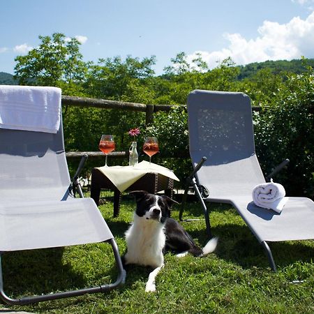 Agriturismo Monte Del Re San Pietro al Natisone Екстериор снимка