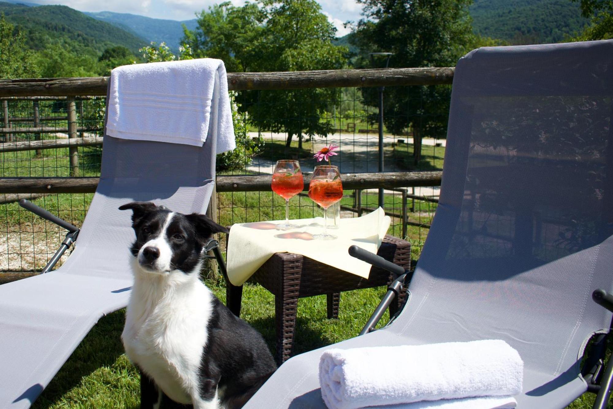 Agriturismo Monte Del Re San Pietro al Natisone Екстериор снимка